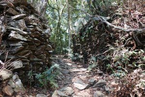 網子山鳴海山－六龜警備道