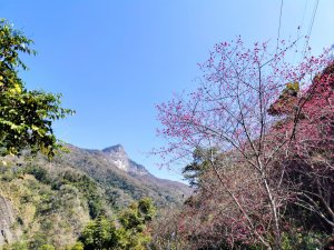 步道巡訪員│鳥嘴山步道 2 月巡訪日誌