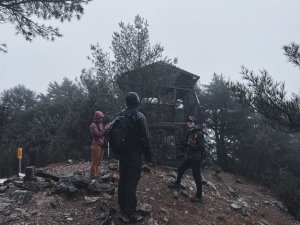 （單攻）20250118 西巒大山 人倫林道