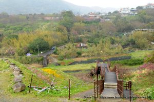 衝一波 2026．D0123｜鵝尾山水田