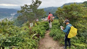 龜山五連星+大棟山O型