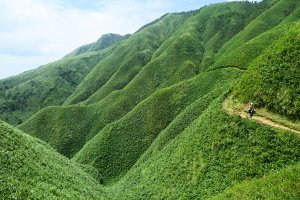 拜訪「臺灣の抹茶冰淇淋山」：聖母山莊、三角崙山一日行