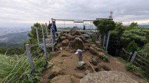 115.05.01天上山-桐花公園之旅