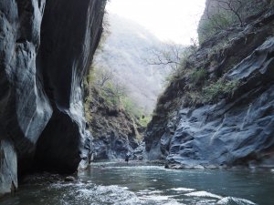 2021郡大探伊巴厚出孫海橋（D5&6)