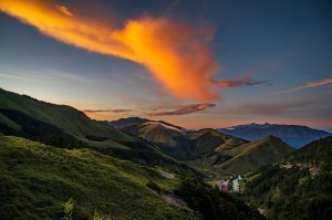 夏日合歡賞雲趣