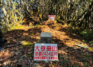 大母母山知行