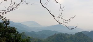 2024/03/30-赤柯山+東獅頭山步道