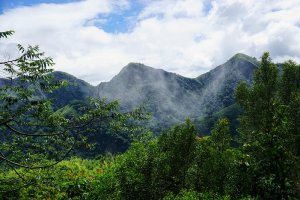 【嘉義】大坑凌雲巖步道環型