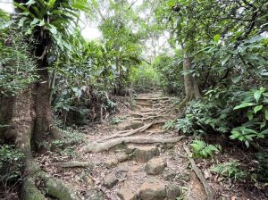 [台北×大安區]福州山步道