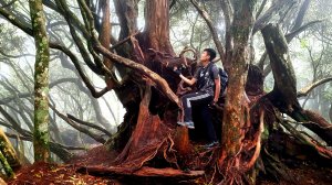 高島縱走，霞喀羅古道，拉號步道，樂信瓦旦紀念公園，義興吊橋，鄭大模紀念植物園步道