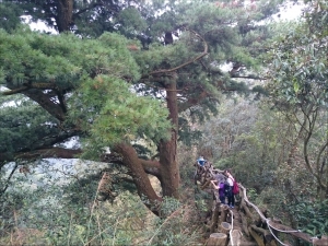 台中大坑4號步道登頭嵙山