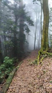 20191011 嘉南雲峰.石壁山