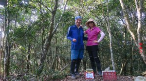 六龜警備道南段：見付山、榆油山、南鳳山、鳴海山、真我山出茂林（二日行）