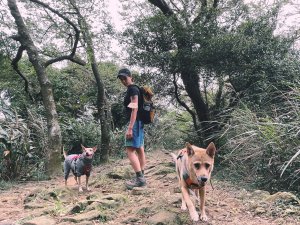 騎機車帶狗狗登山的五條步道