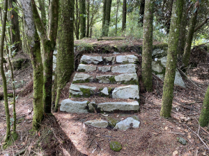 【台中】八仙山林場遺址踏查~清水台、黎明神社、僻亞歪溪
