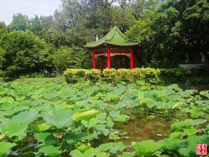 台北植物園步道