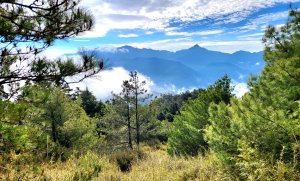 【百岳】志佳陽大山