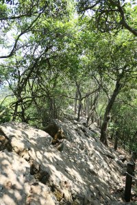 190429-小攀南化王爺崙山-龍鱗奇岩