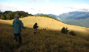 茶岩山