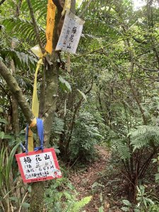 帕米爾公園、碧山、白石湖山、大邱田天然石壁洞