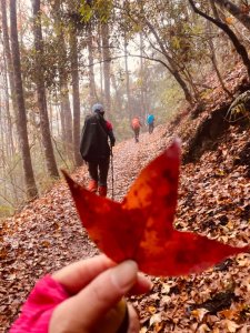 霞喀羅古道-養老進-白石駐在所折返