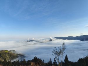 [新竹/苗栗] 觀雪縱走(雪見大板根)