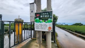 【南投民間】松柏嶺步道連走松柏坑山