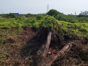 [雲林台西][一]丘厝、五條港、呂祖厝、泉州厝、火燒牛稠、蚊港、糠榔腳