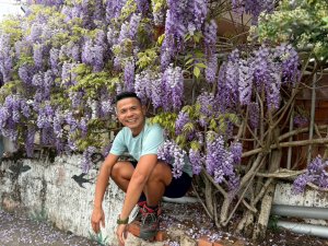 鼠眉毛縱走+進學古道+野薑花步道【戀上紫色山城的浪漫魅力】