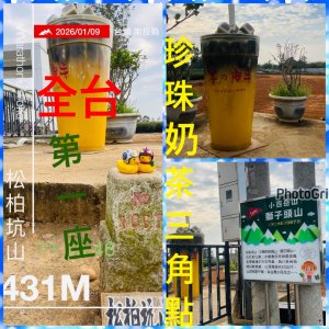 賞梅快閃🌳南投雲嘉彰化小百岳-百大步道