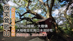 「微笑山線」,鶯歌縱走到百年大榕樹,光明山稜線、大樹佛、彰埔坑山,大榕樹豆花爽口冰涼好吃,可搭火車到鶯歌車站起登