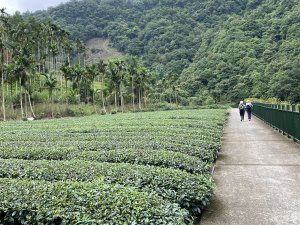 【淡蘭古道尋寶任務】淡蘭南路第四段｜𩻸魚堀溪自行車道至縣界公園