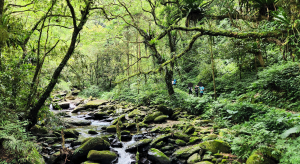 烏來三大古道，桶后越嶺古道