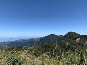 台灣山毛櫸步道