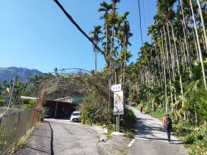 [南投鹿谷][三]白石牙山、馬路麻山、半天窟山、線浸山