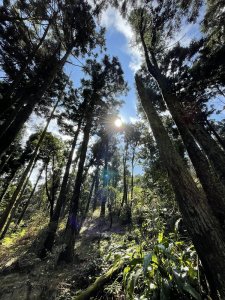 臺北大縱走第三段：小油坑遊客服務站-風櫃嘴。陽明山五山東緃走