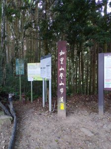 加里山步道+杜鵑嶺+舊運木鐵道(大坪支線