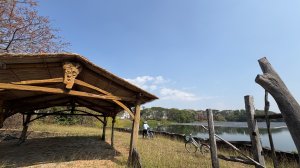 🚴‍♂️ 台南單車慢漫遊