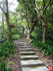 【新北市】外南勢角山步道