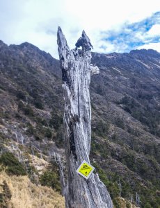 南玉山