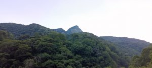 虎山步道-2023/07/08