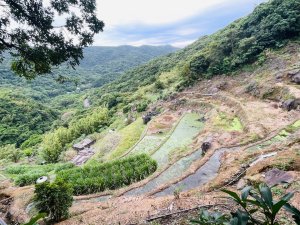 1140926坪頂古圳親山步道
