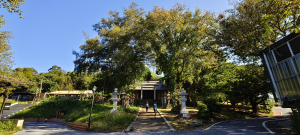 通霄神社+虎頭山公園-2025/11/15
