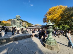 20251128橫須賀軍港遊船+鎌倉大佛步道