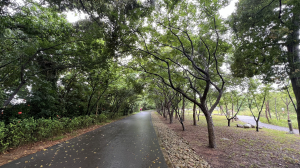 霄裡好風光，運動樂悠遊