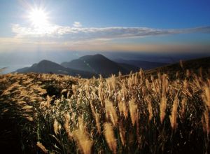 【新聞】「陽明山東西大縱走活動」限量紀念品已全數兌換完畢，感謝熱情支持！