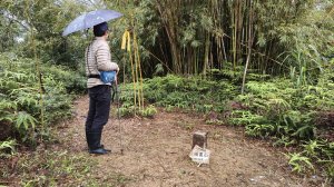 2026/0304專治腳癢的頭圍山(宜蘭頭城，簡單/輕鬆/多元路線)