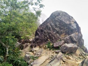 舒適好走的東卯山步道