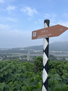 屏東來義｜半日健行路線｜2024屏步青雲 尋寶任務-棚集山步道