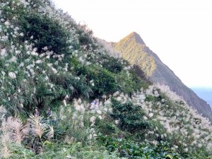 無耳茶壺山